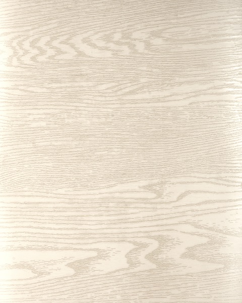 2001 اکسترا نقره ریز روکش اکسترا نقره