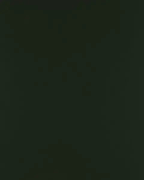 dark-green-membrane روکش ممبران سبز تیره