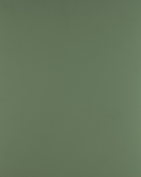 cover-membranes-green-light روکش ممبران سبز روشن سوپر مات