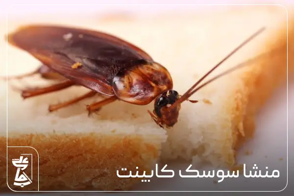 سوسک کابینت ام دی اف